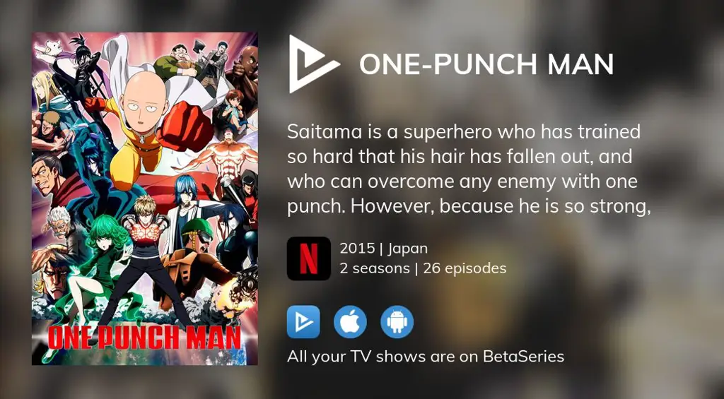 Gambar berbagai platform streaming resmi yang menyediakan One Punch Man