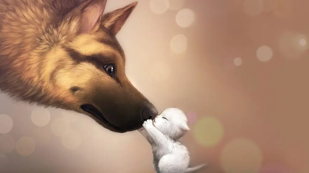 Pochi, anjing kesayangan Souta Gambar anjing anime yang lucu