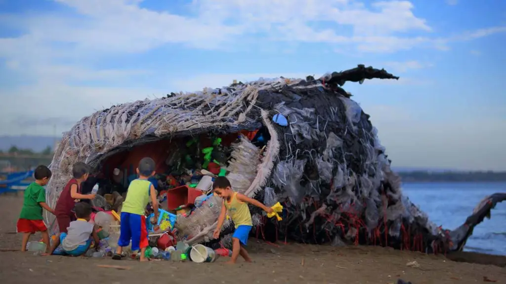 Anak paus yang terjerat plastik