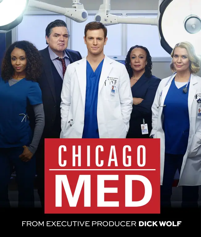 Poster Chicago Med Musim 1