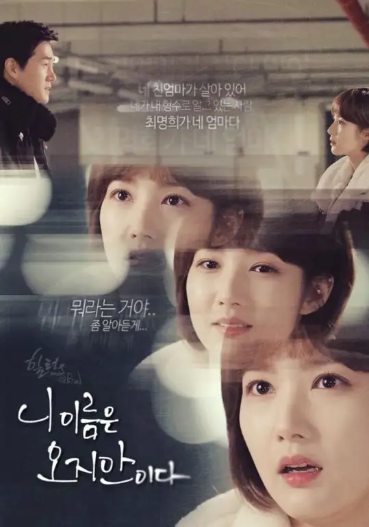 Poster drama Korea Healer