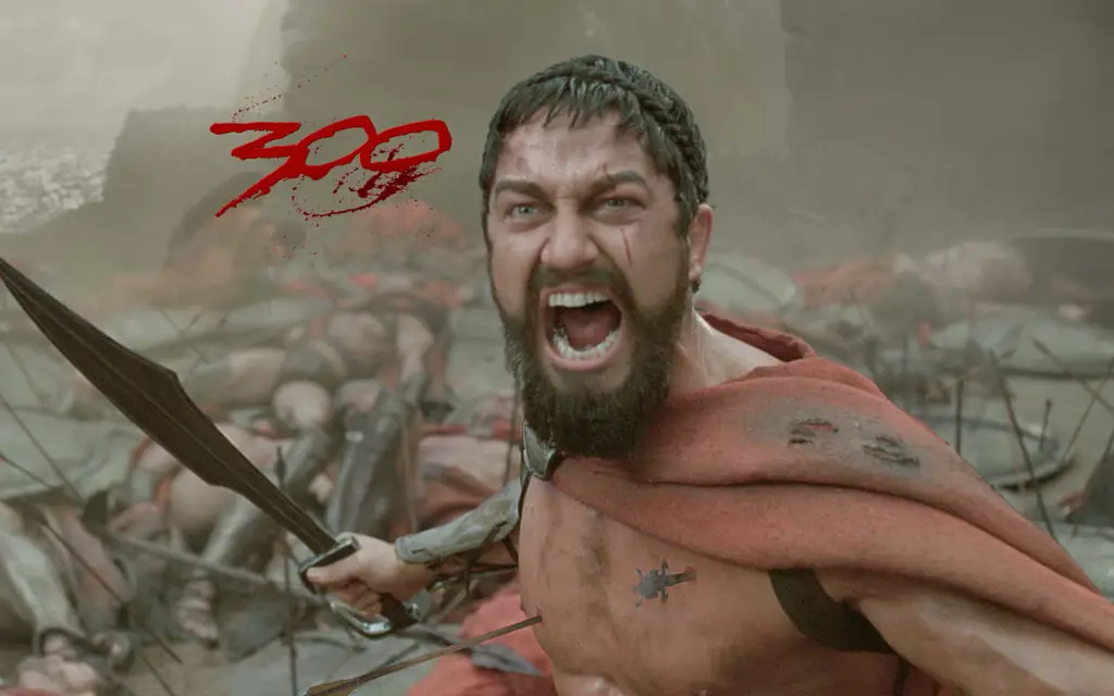 Poster film 300