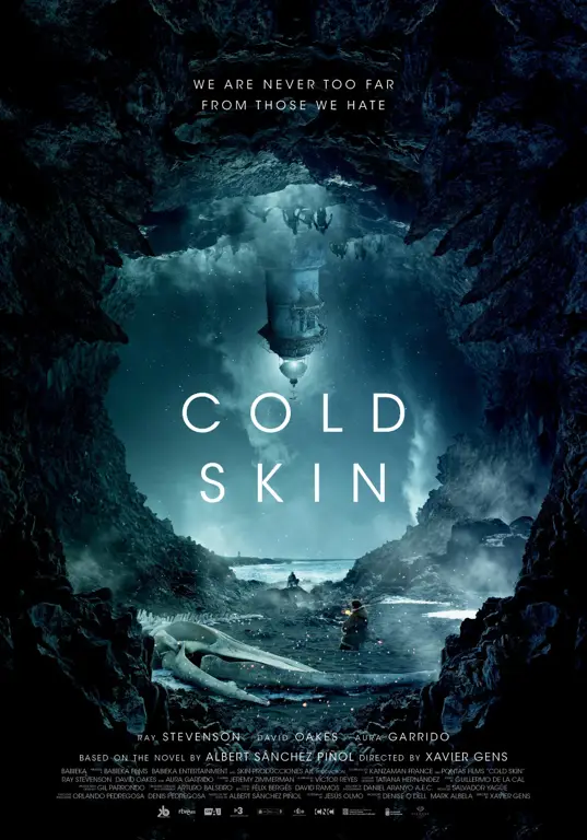 Poster film Cold Fish