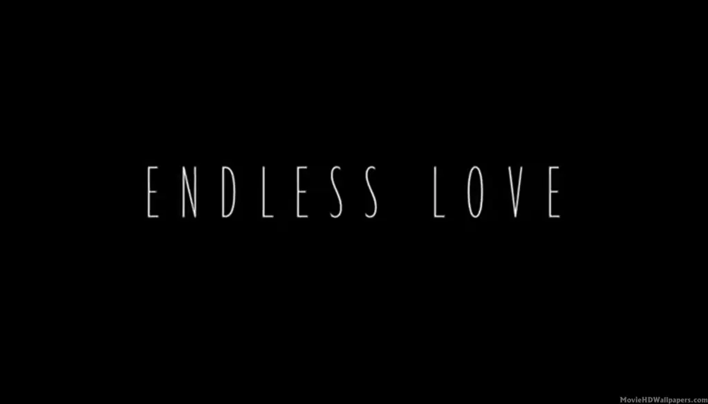 Poster film Endless Love 2014