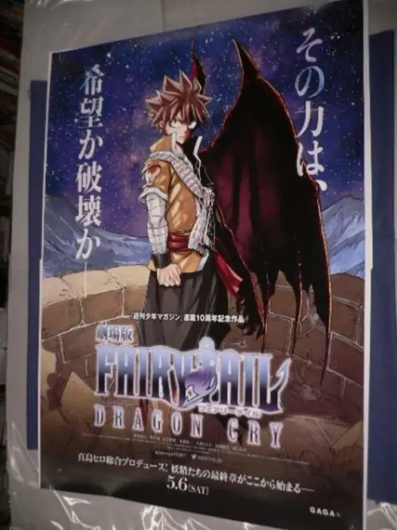 Poster film Fairy Tail: Dragon Cry