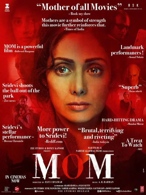 Poster film Little Mom