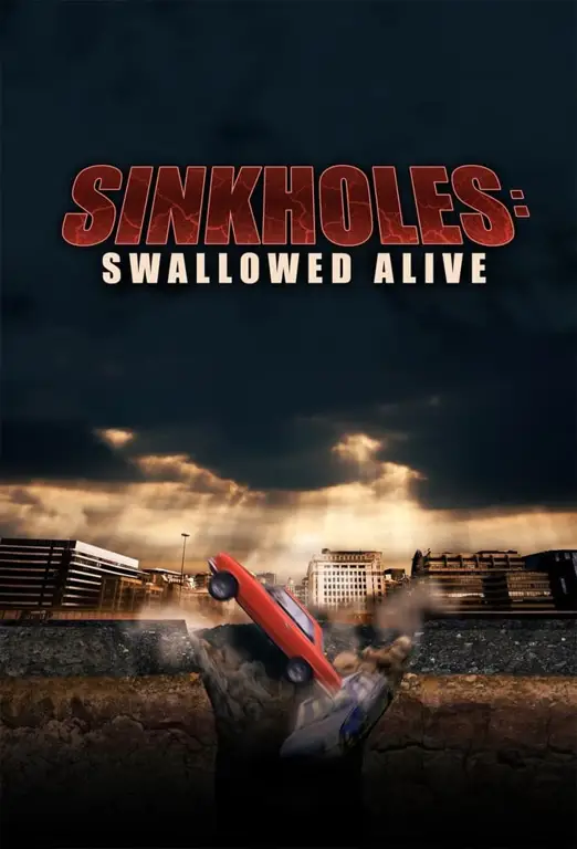 Poster film Sinkhole