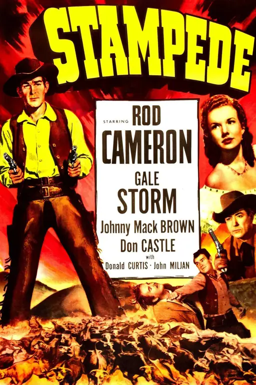 Poster film Stampede