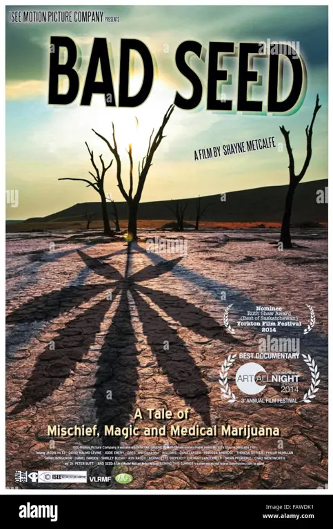 Poster film The Bad Seed