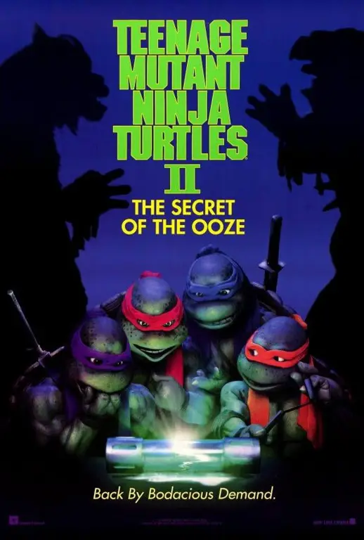 Poster film TMNT 2