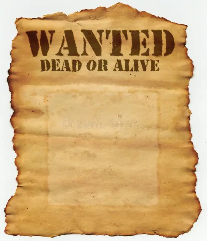 Poster film Dead or Alive