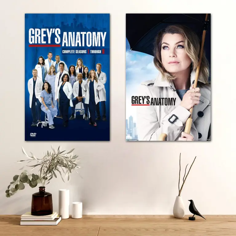 Poster Grey's Anatomy Season 12