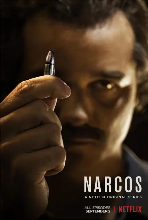 Poster Narcos season 2