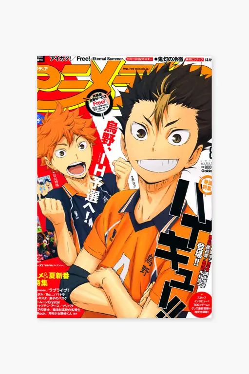 Poster Haikyuu!! OVA