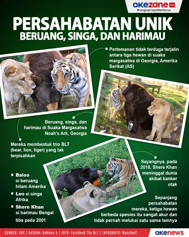 Poster serial televisi Manusia Harimau