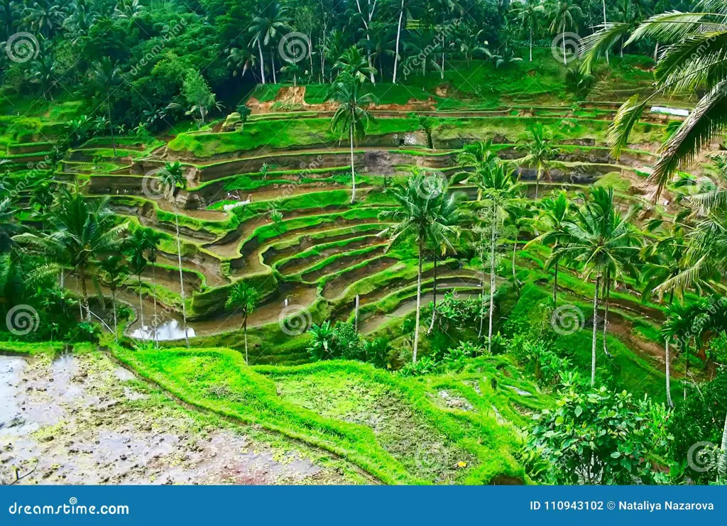 Gambar pemandangan alam Indonesia