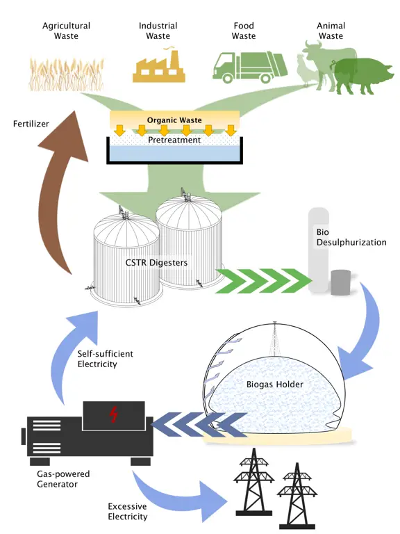 Produksi biogas dari kotoran hewan