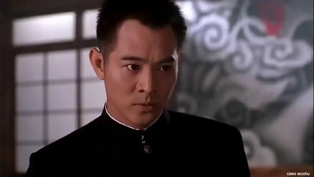 Adegan aksi film Jet Li