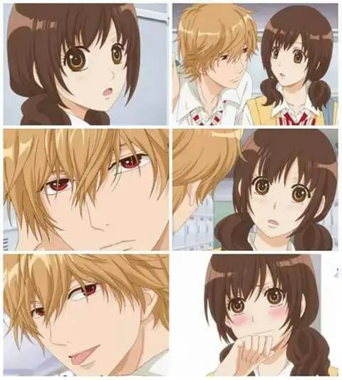 Erika dan Kyouya, karakter utama dalam anime Wolf Girl and Black Prince