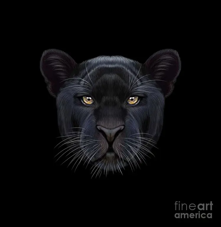 Potret Black Panther