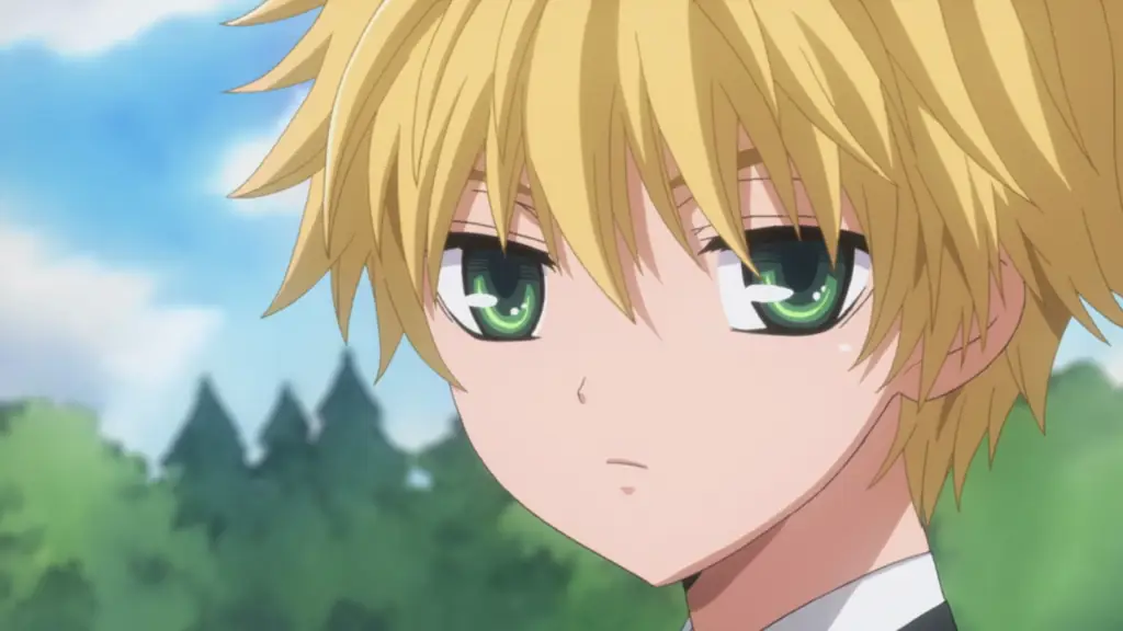 Gambar Takumi Usui dari Kaichou wa Maid Sama!