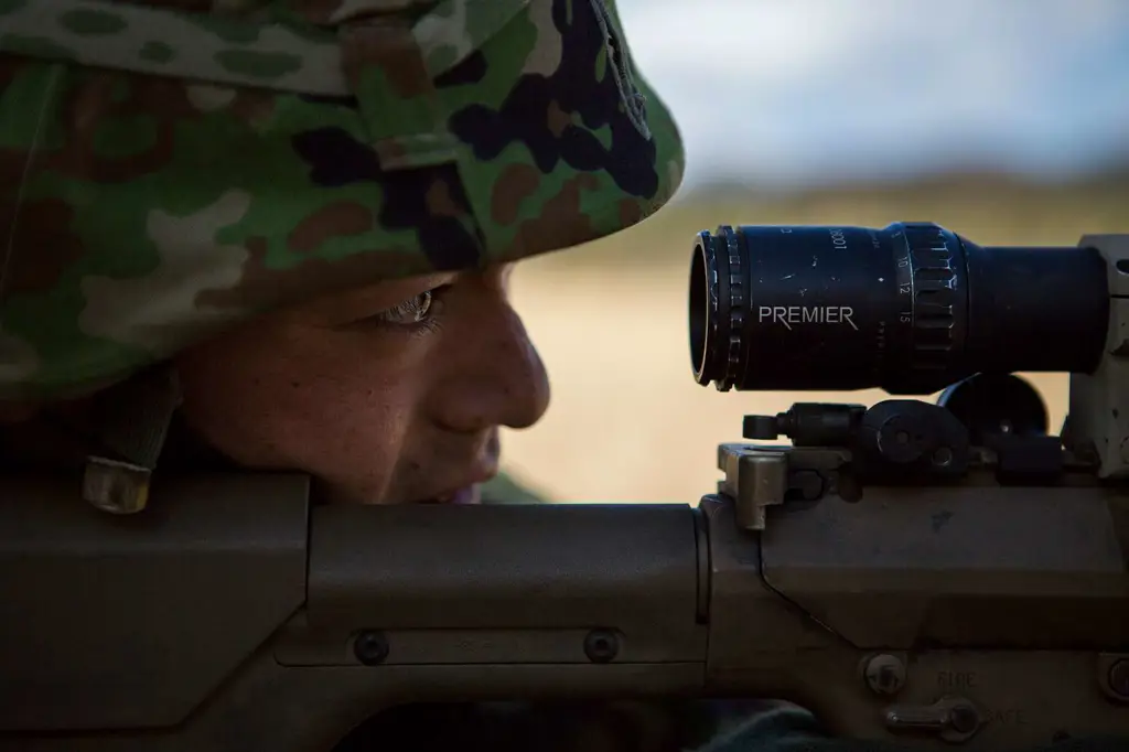 Gambar para prajurit JSdf di dunia fantasi Special Region