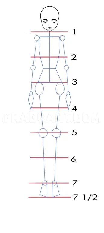 Gambar proporsi dasar tubuh anime