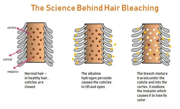 Proses bleaching rambut secara bertahap