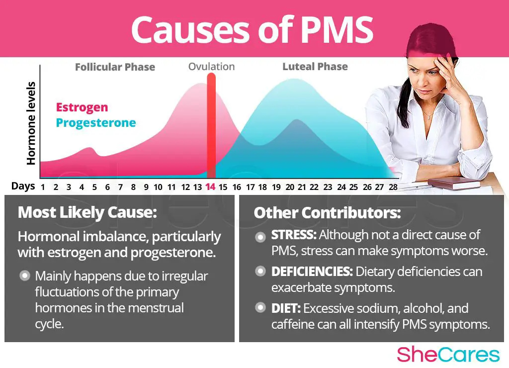 Ilustrasi proses pembuatan animasi PMS