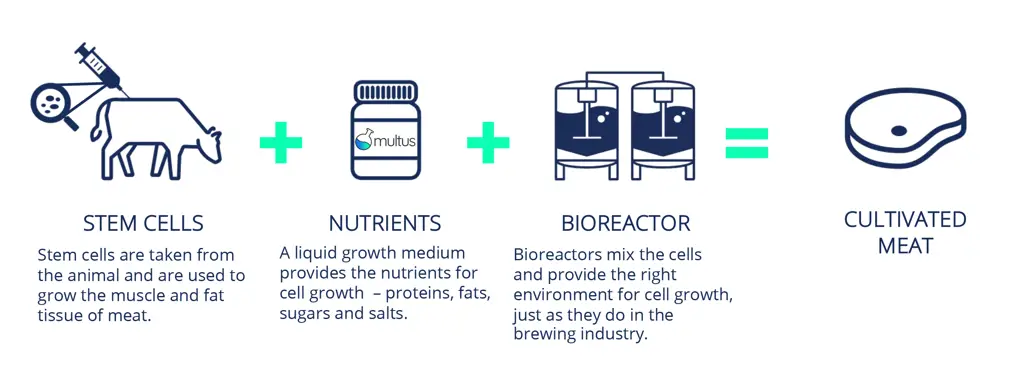 Proses produksi biomeat di laboratorium