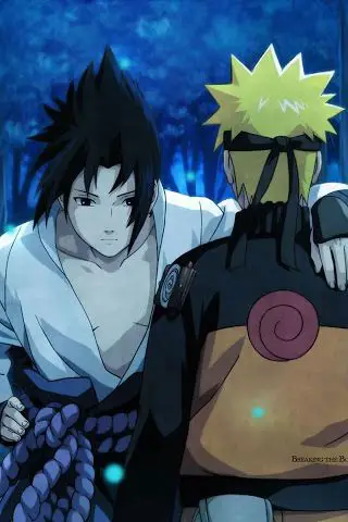 Naruto dan Sasuke bertemu kembali setelah pertarungan panjang