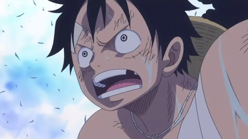 Ulasan anime One Piece episode 876