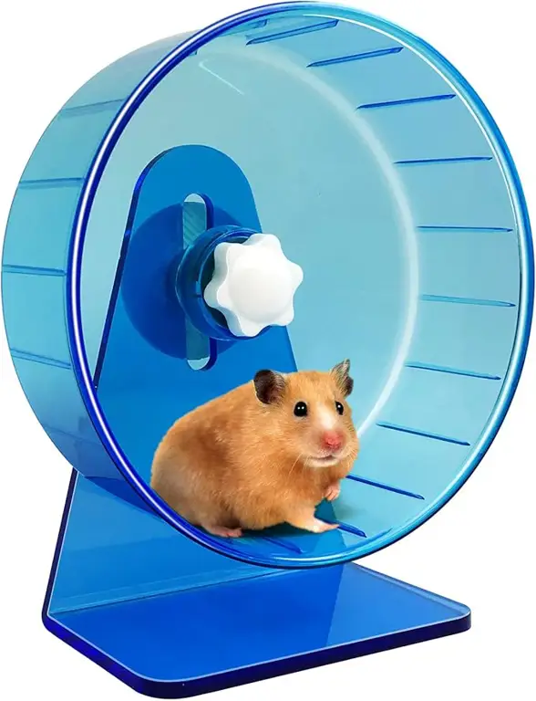 Hamster berlari di roda putar