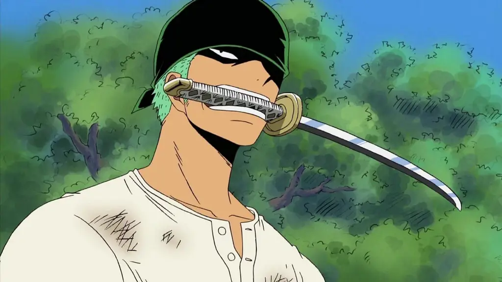 Gambar Roronoa Zoro dari One Piece