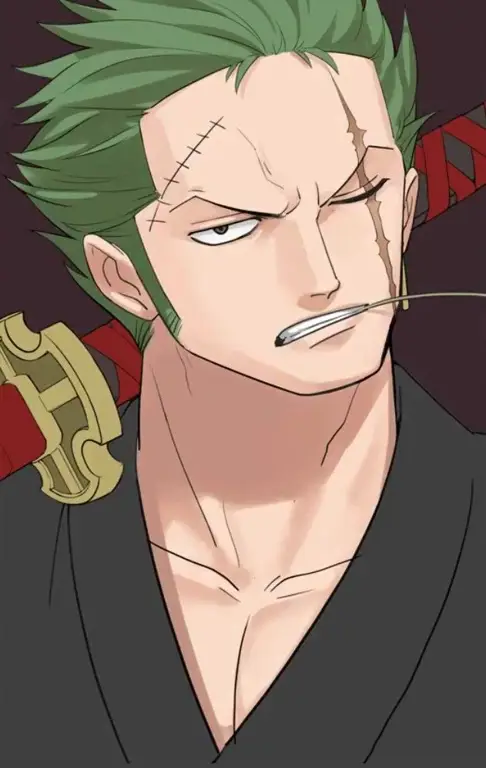 Gambar Roronoa Zoro