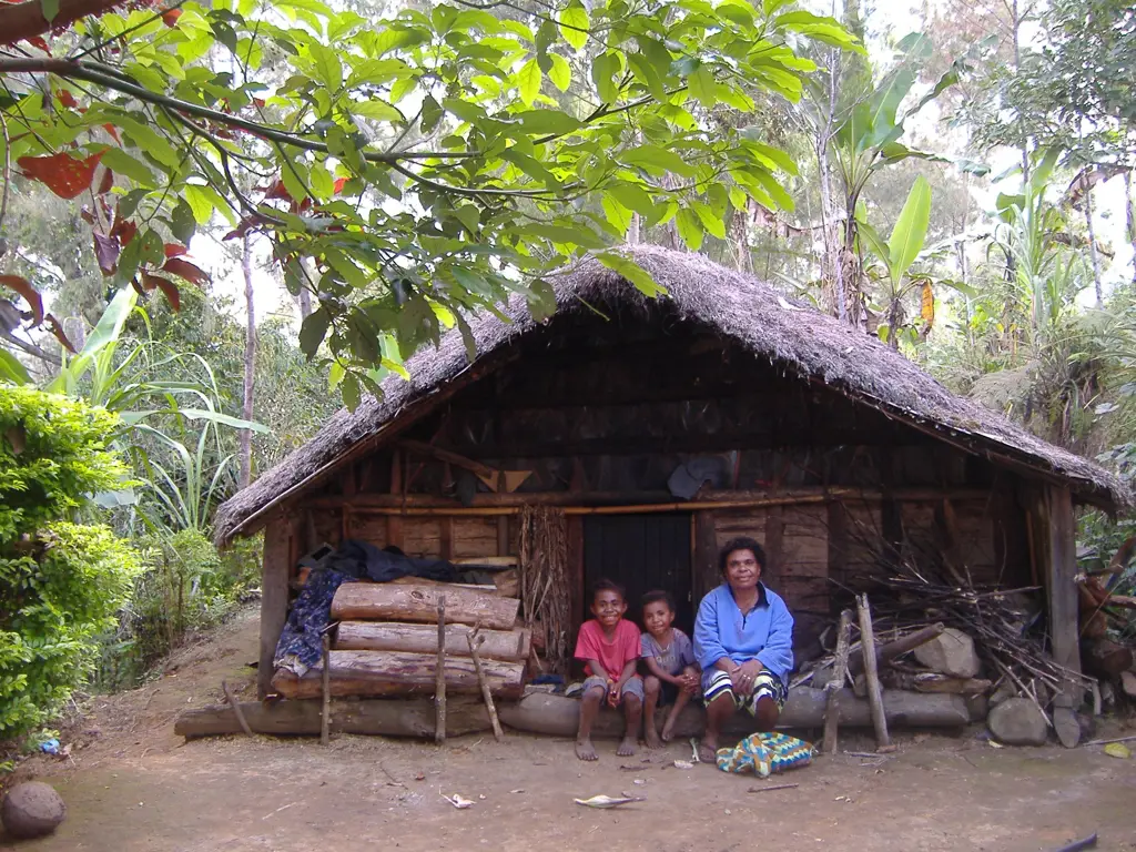 Rumah adat Papua di sekitar Bandar Udara Frans Kaisiepo