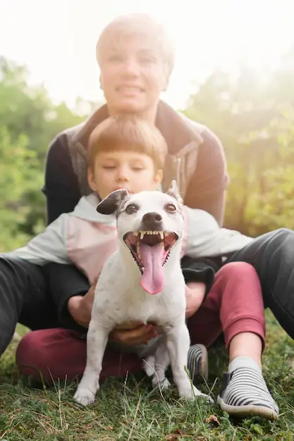 Keluarga bermain dengan anjing adopsi