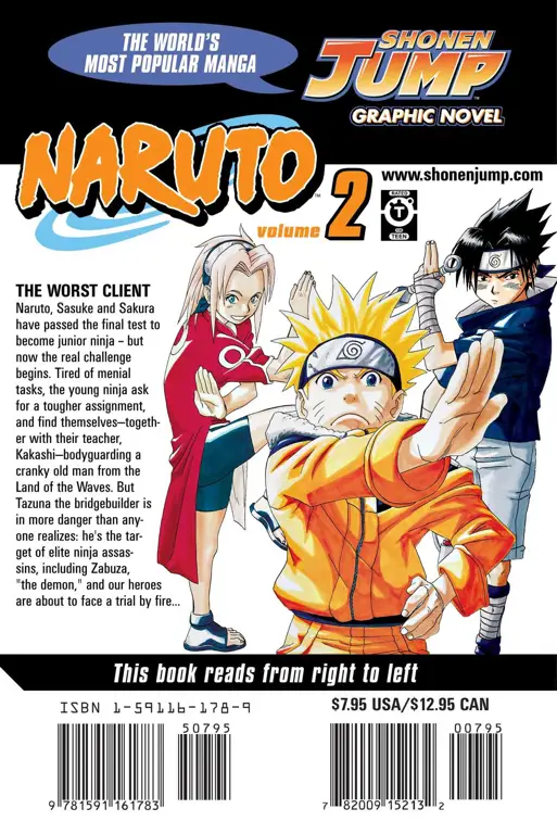 Buku Manga Naruto