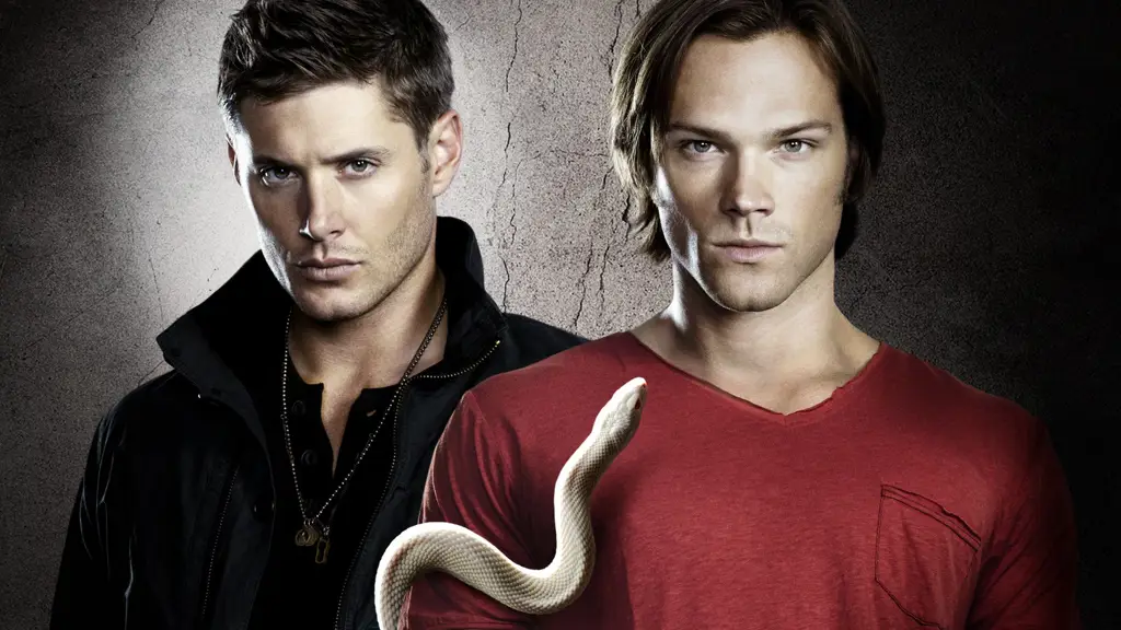 Gambar Sam dan Dean Winchester