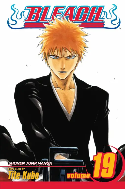 Sampul Bleach Volume 24