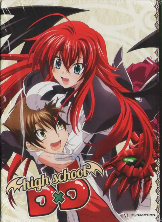 Gambar sampul Blu-ray Disc High School DxD