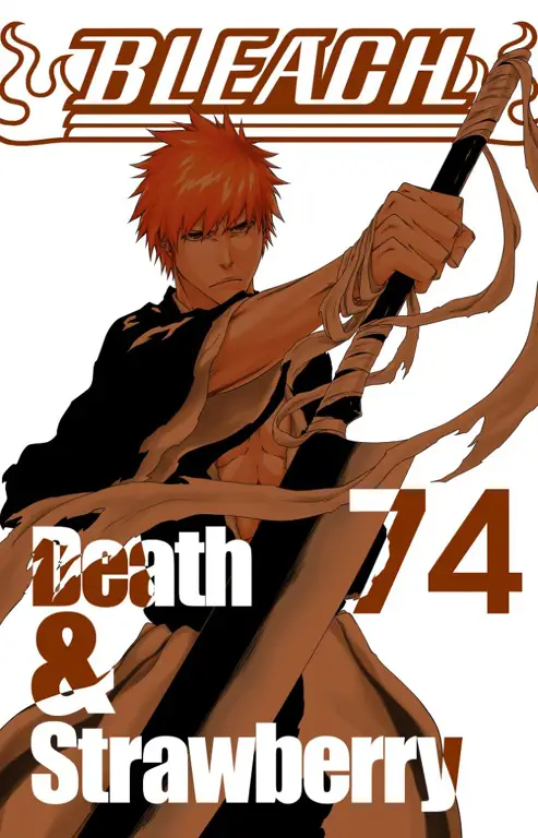 Sampul manga Bleach