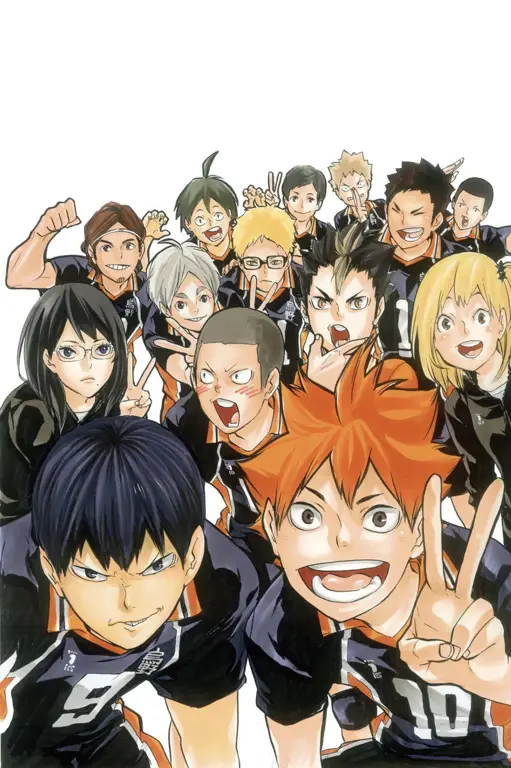 Sampul manga Haikyu!!