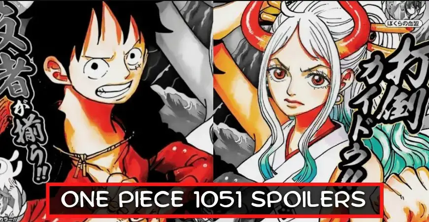 Sampul manga One Piece chapter 1051