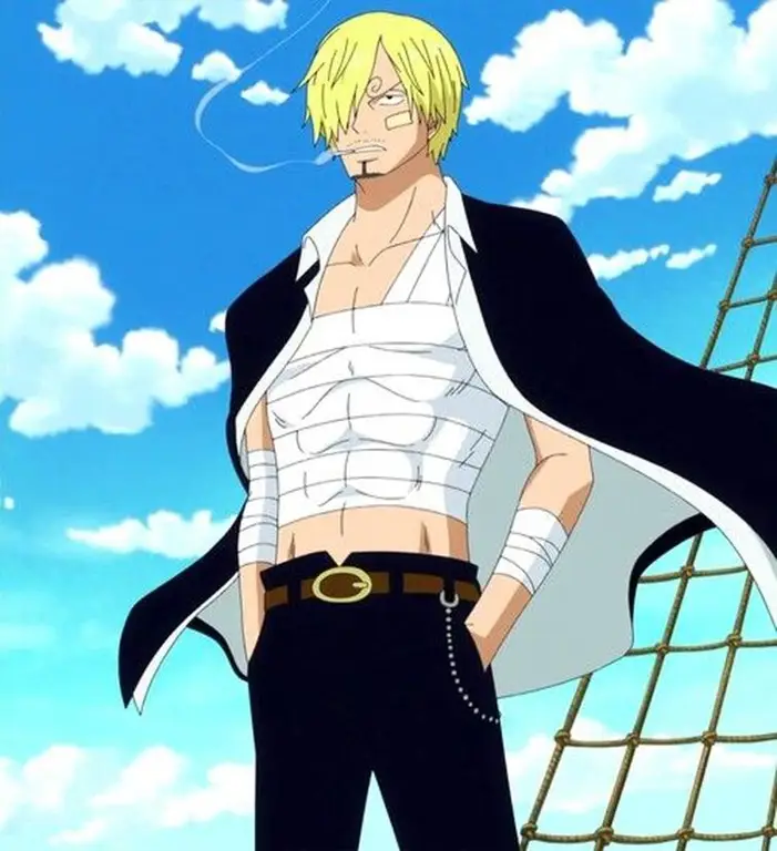 Gambar Sanji bertarung dalam anime One Piece