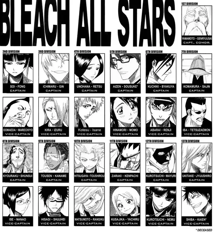 Gambar Kapten Divisi 1 Bleach