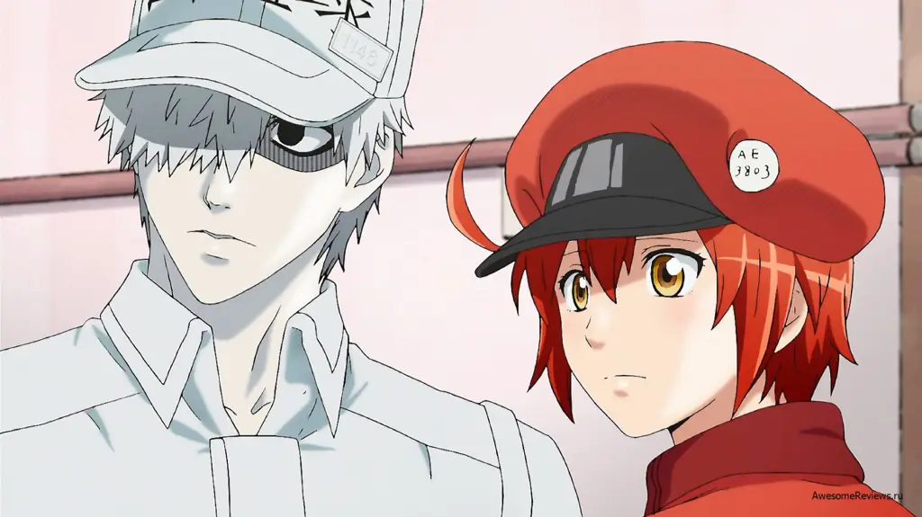 Visualisasi sel-sel dalam anime Saibou