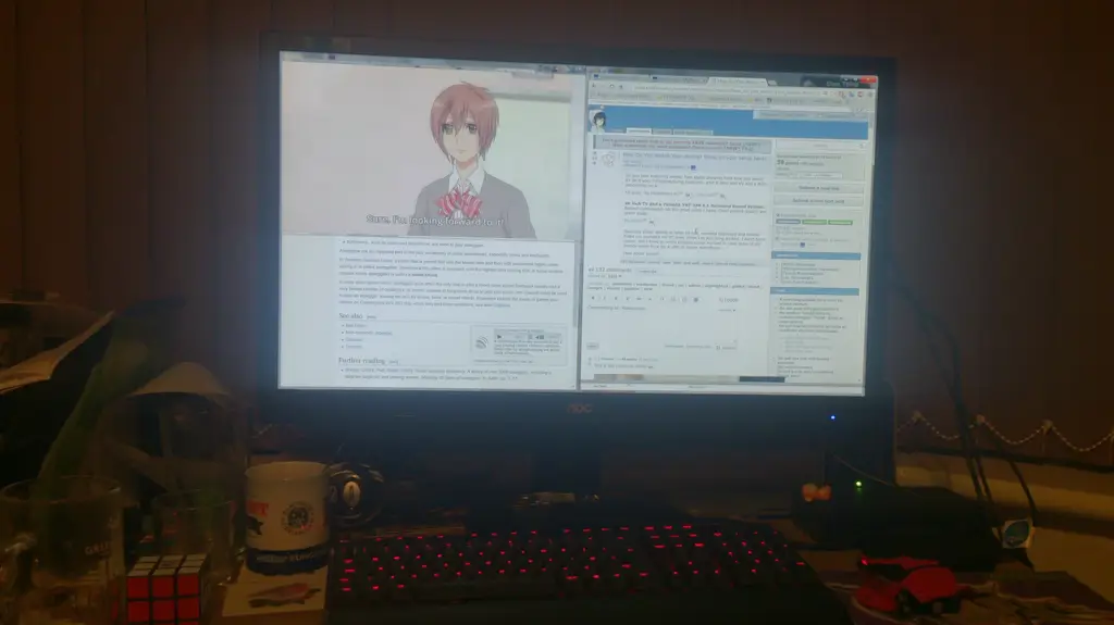 Gambar setup nonton anime