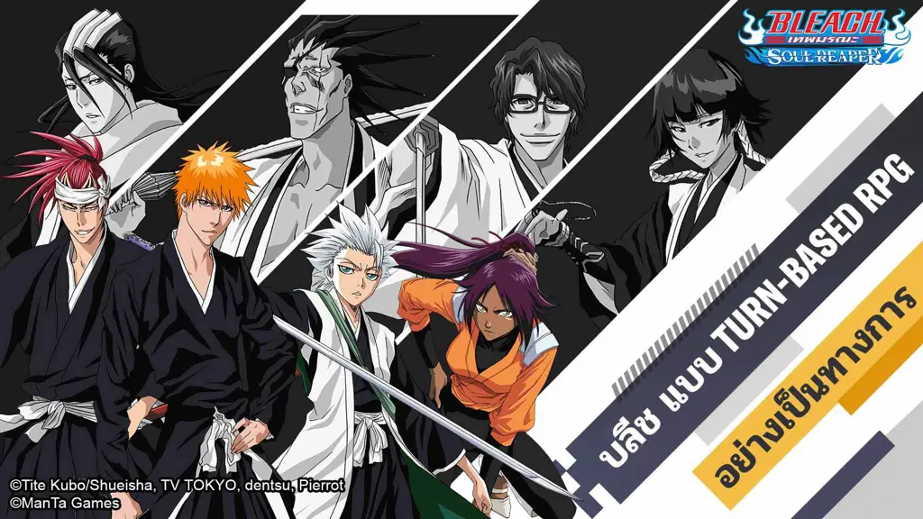 Seorang Shinigami atau Soul Reaper dari Bleach