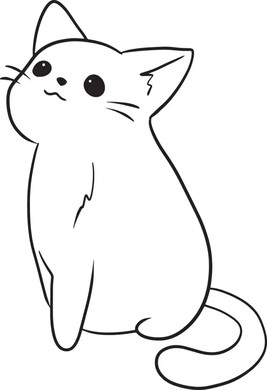 Gambar sketsa kucing lucu